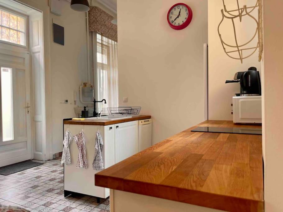 Knezits Spacious Ac Terrace Free Parking 布达佩斯 外观 照片