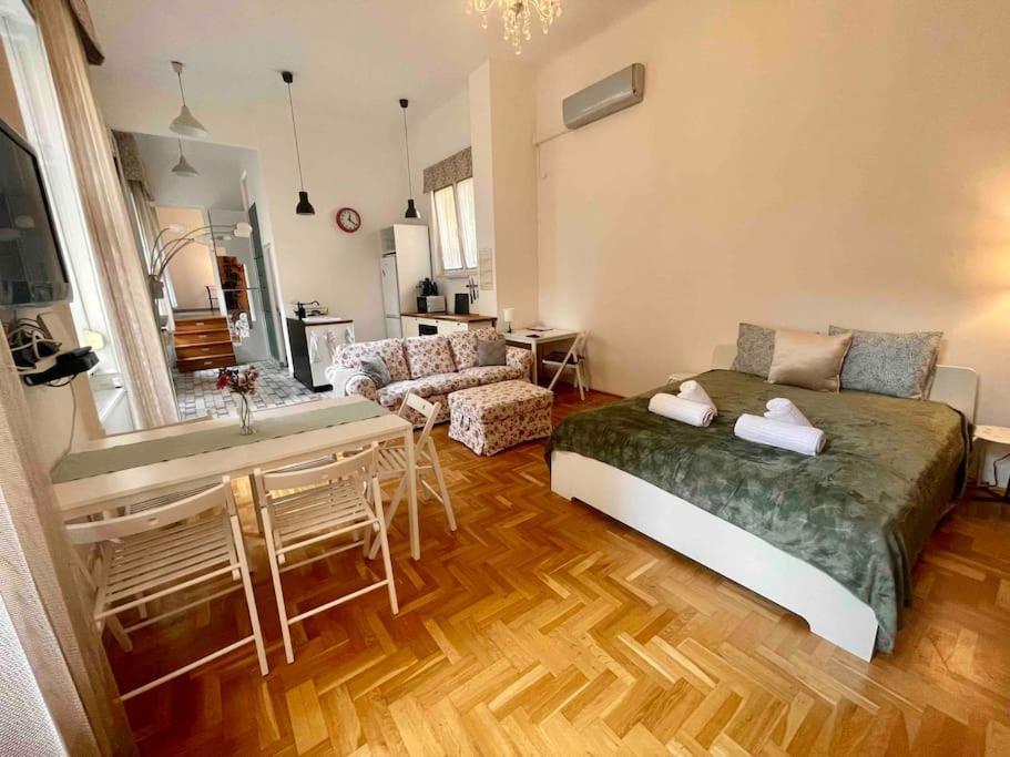 Knezits Spacious Ac Terrace Free Parking 布达佩斯 外观 照片