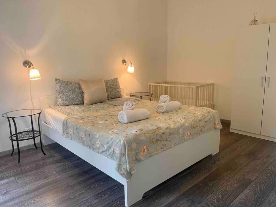 Knezits Spacious Ac Terrace Free Parking 布达佩斯 外观 照片