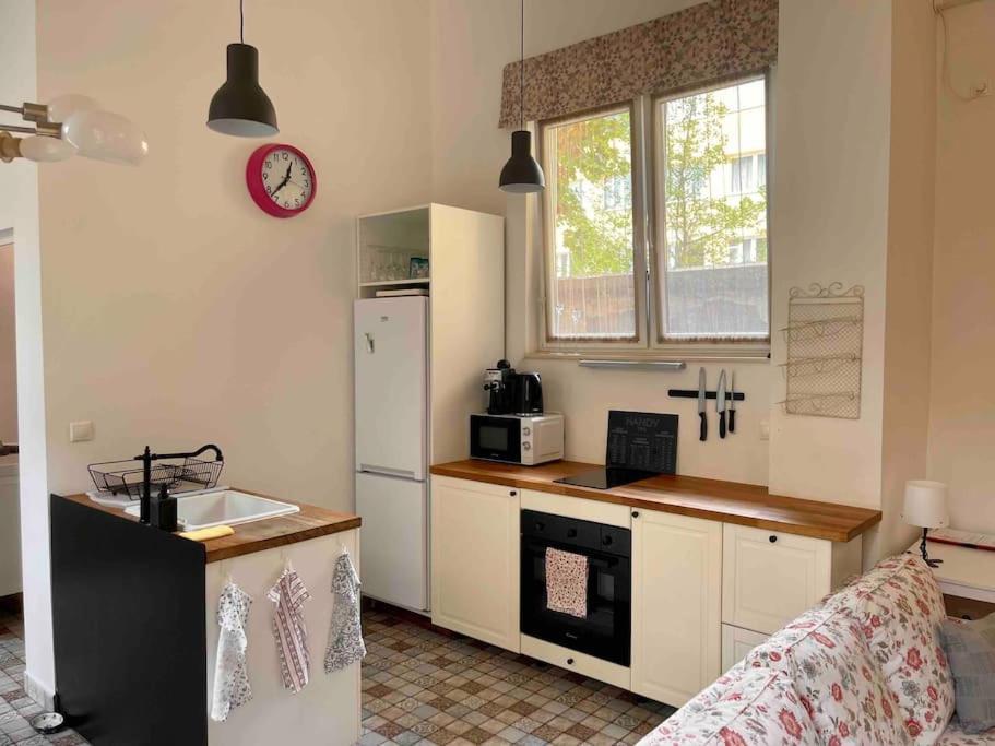 Knezits Spacious Ac Terrace Free Parking 布达佩斯 外观 照片