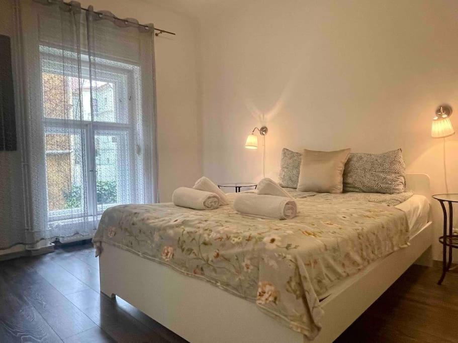 Knezits Spacious Ac Terrace Free Parking 布达佩斯 外观 照片